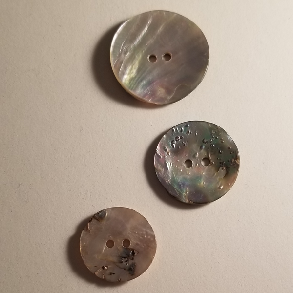 2-Hole Abalone Mother of Pearl