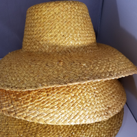 Novelty Straw Hats