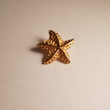 Star ... Fish